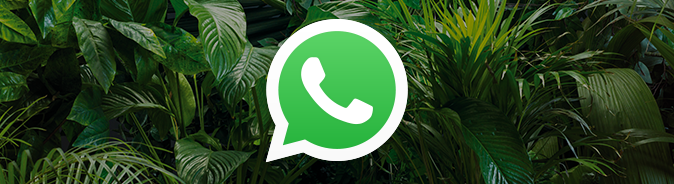 10 handige WhatsApp-functies die je nog niet kent