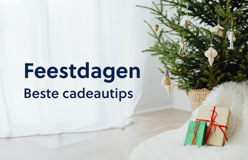 Cadeautips voor de feestdagen 2024