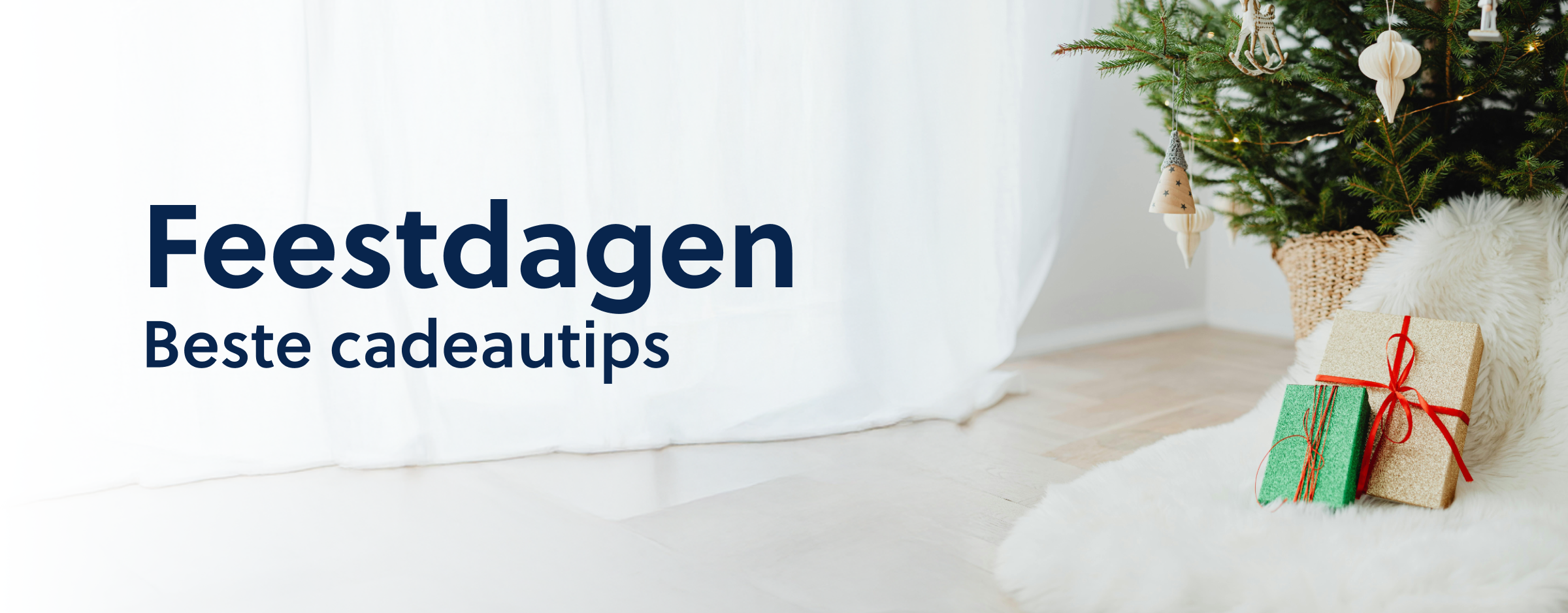 Cadeautips voor de feestdagen 2024