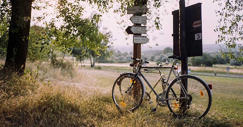 De 5 handigste apps voor fietsroutes in Nederland