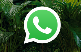 10 handige WhatsApp-functies die je nog niet kent