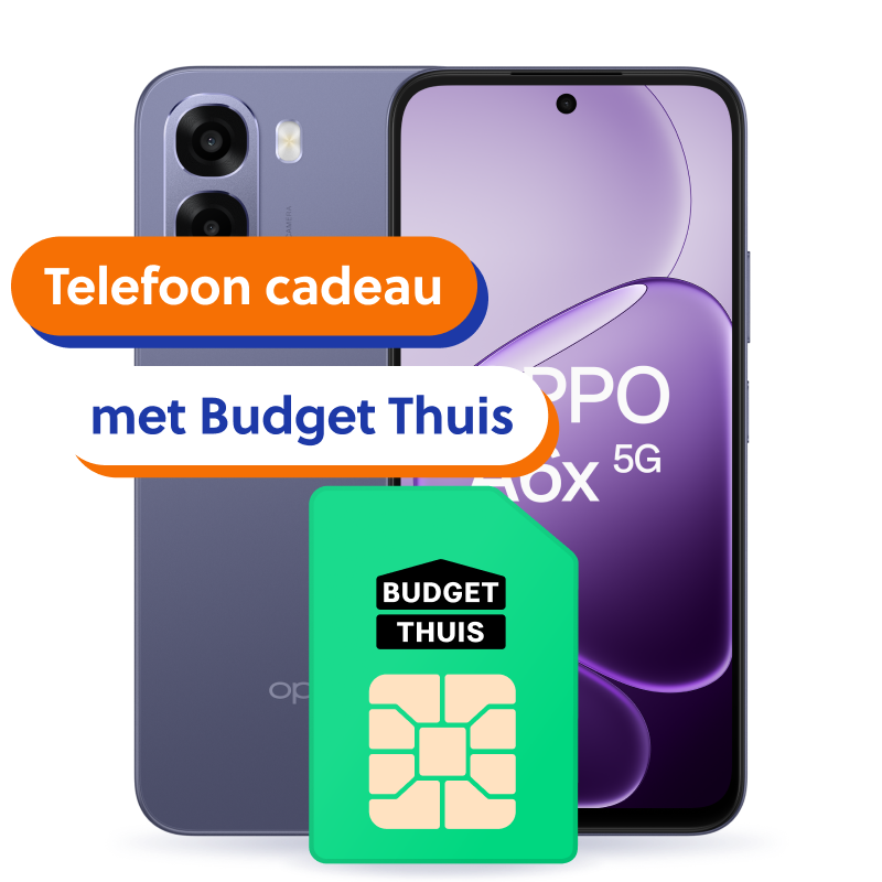 Budget Thuis
